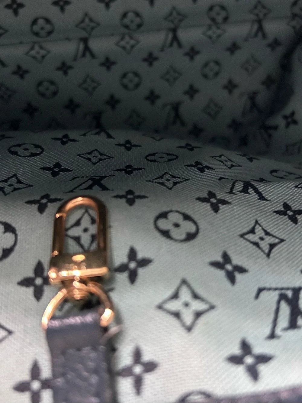 Louis Vuitton  Seaside Tote